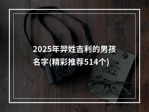 2025年羿姓吉利的男孩名字(精彩推荐514个)