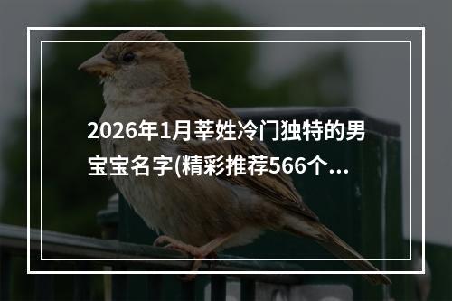 2026年1月莘姓冷门独特的男宝宝名字(精彩推荐566个)