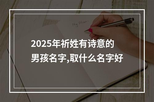 2025年祈姓有诗意的男孩名字,取什么名字好