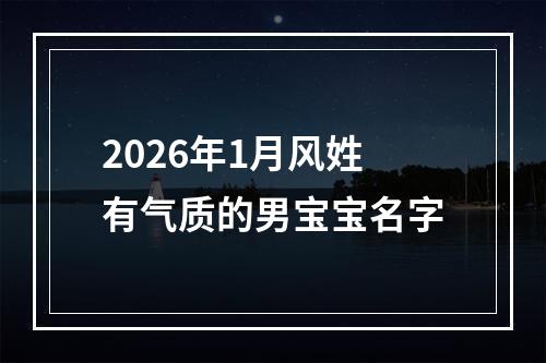 2026年1月风姓有气质的男宝宝名字