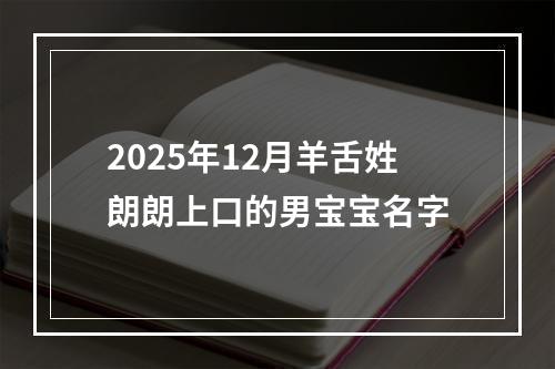 2025年12月羊舌姓朗朗上口的男宝宝名字