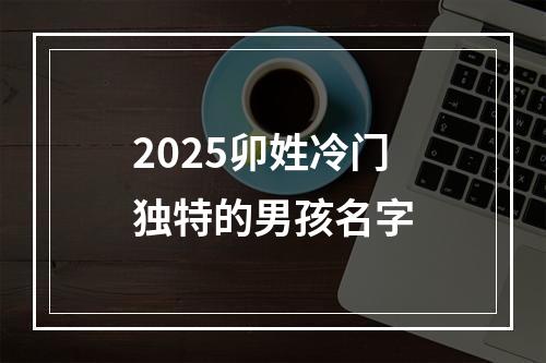 2025卯姓冷门独特的男孩名字