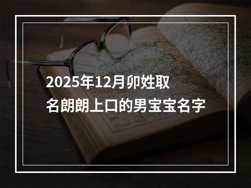 2025年12月卯姓取名朗朗上口的男宝宝名字