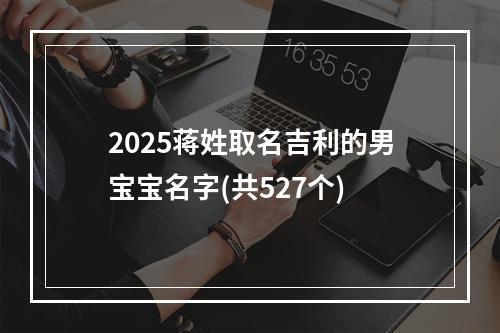 2025蒋姓取名吉利的男宝宝名字(共527个)