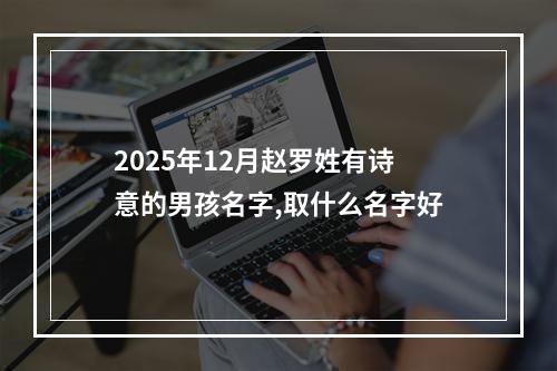 2025年12月赵罗姓有诗意的男孩名字,取什么名字好
