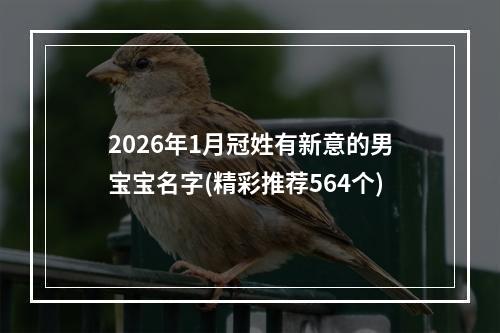 2026年1月冠姓有新意的男宝宝名字(精彩推荐564个)