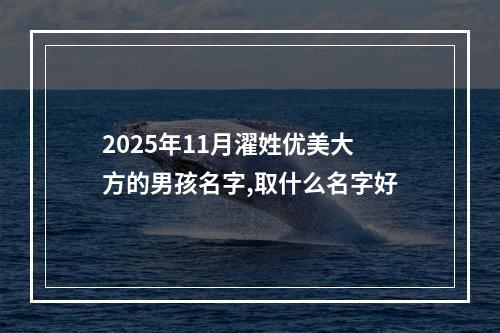 2025年11月濯姓优美大方的男孩名字,取什么名字好