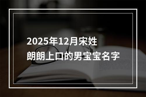 2025年12月宋姓朗朗上口的男宝宝名字