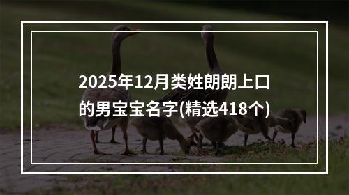 2025年12月类姓朗朗上口的男宝宝名字(精选418个)