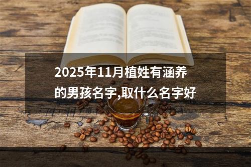 2025年11月植姓有涵养的男孩名字,取什么名字好