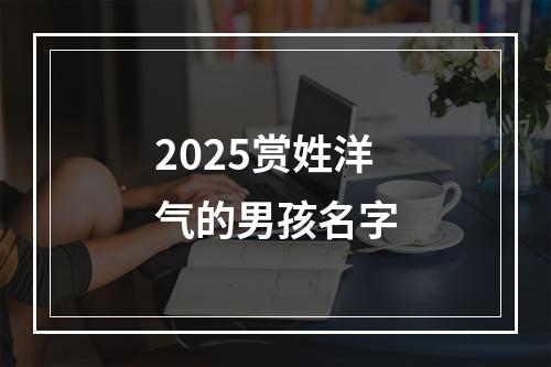 2025赏姓洋气的男孩名字