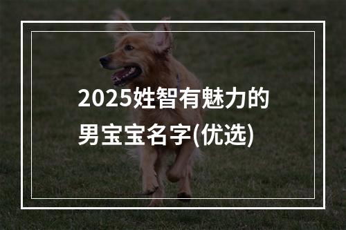 2025姓智有魅力的男宝宝名字(优选)