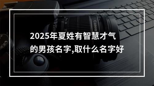 2025年夏姓有智慧才气的男孩名字,取什么名字好