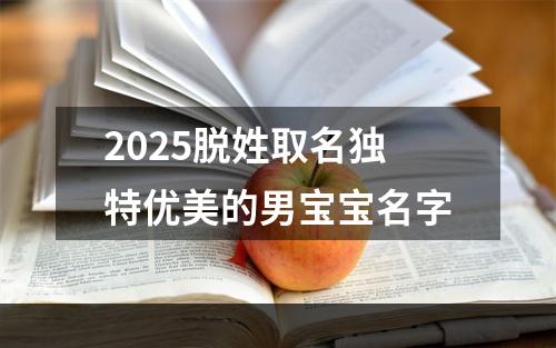 2025脱姓取名独特优美的男宝宝名字