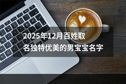 2025年12月百姓取名独特优美的男宝宝名字
