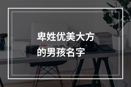 卑姓优美大方的男孩名字
