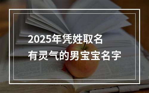 2025年凭姓取名有灵气的男宝宝名字