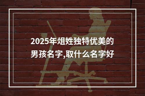 2025年俎姓独特优美的男孩名字,取什么名字好
