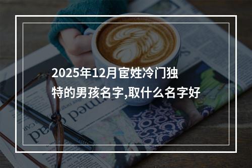 2025年12月宦姓冷门独特的男孩名字,取什么名字好