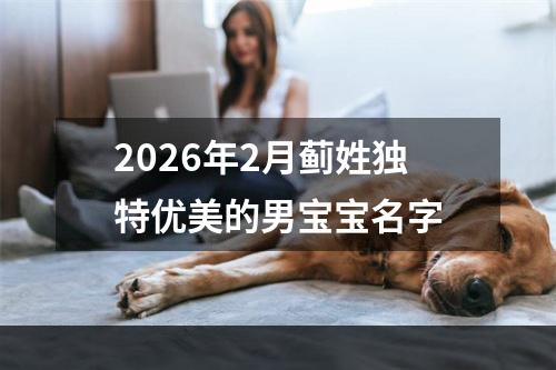 2026年2月蓟姓独特优美的男宝宝名字