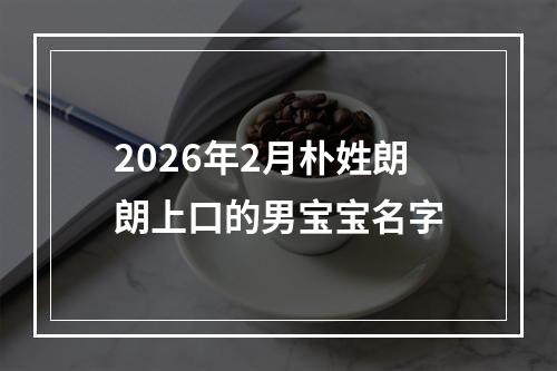 2026年2月朴姓朗朗上口的男宝宝名字