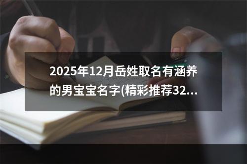2025年12月岳姓取名有涵养的男宝宝名字(精彩推荐324个)