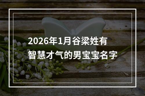 2026年1月谷梁姓有智慧才气的男宝宝名字
