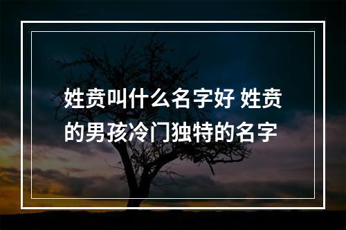 姓贲叫什么名字好 姓贲的男孩冷门独特的名字