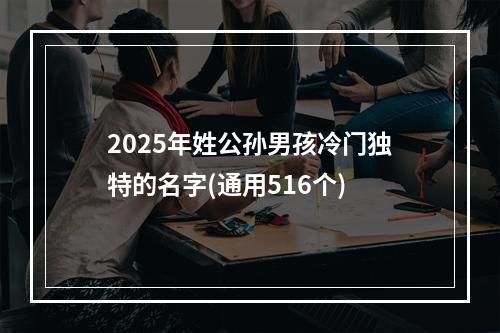 2025年姓公孙男孩冷门独特的名字(通用516个)