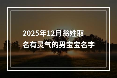 2025年12月翁姓取名有灵气的男宝宝名字