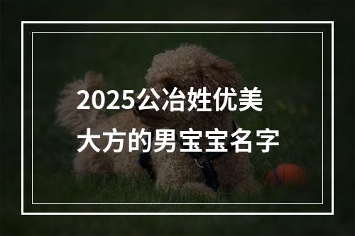 2025公冶姓优美大方的男宝宝名字