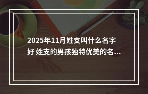 2025年11月姓支叫什么名字好 姓支的男孩独特优美的名字