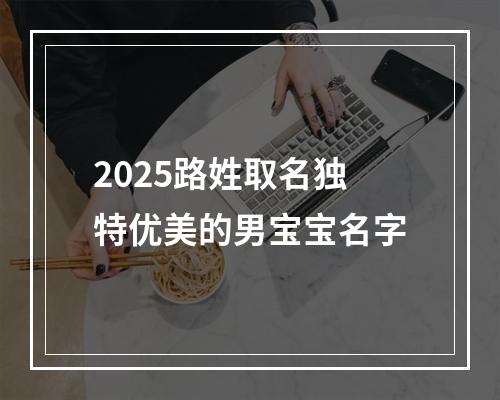 2025路姓取名独特优美的男宝宝名字