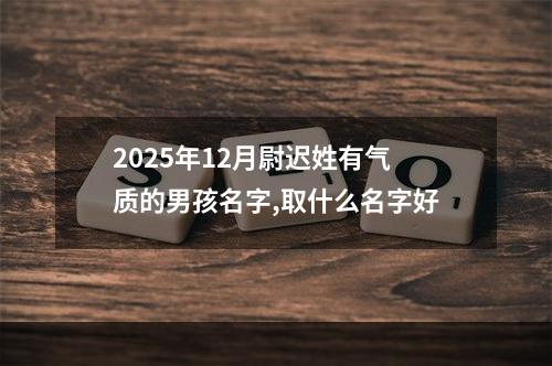2025年12月尉迟姓有气质的男孩名字,取什么名字好