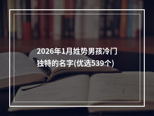 2026年1月姓势男孩冷门独特的名字(优选539个)