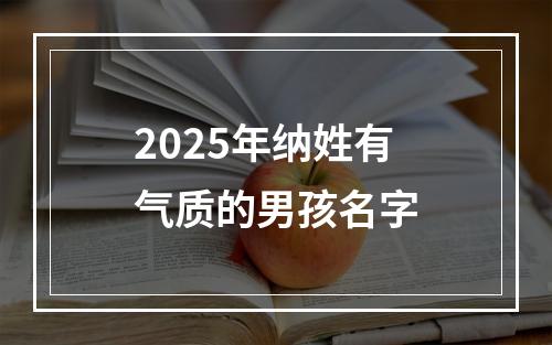 2025年纳姓有气质的男孩名字