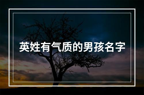 英姓有气质的男孩名字