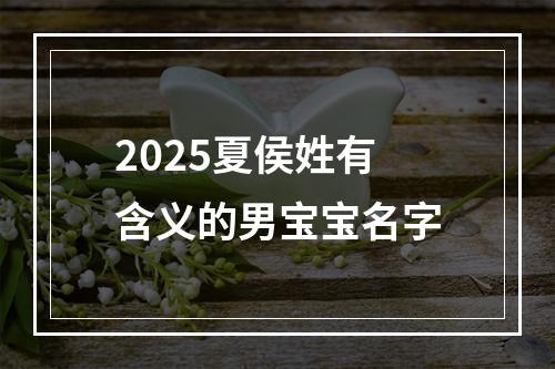 2025夏侯姓有含义的男宝宝名字