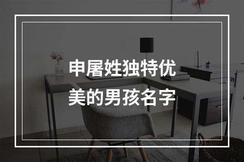 申屠姓独特优美的男孩名字