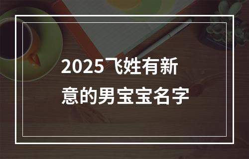 2025飞姓有新意的男宝宝名字