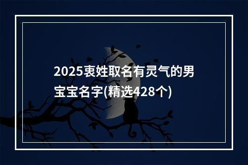 2025衷姓取名有灵气的男宝宝名字(精选428个)