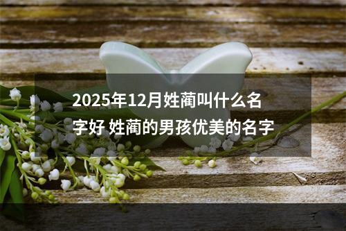 2025年12月姓蔺叫什么名字好 姓蔺的男孩优美的名字