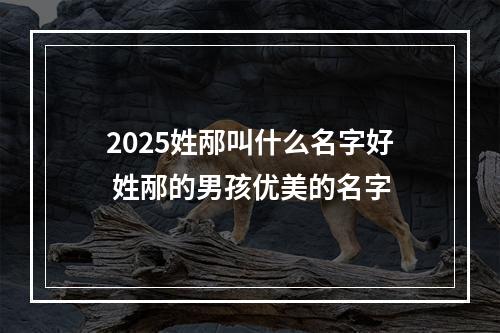2025姓邴叫什么名字好 姓邴的男孩优美的名字