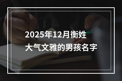 2025年12月衡姓大气文雅的男孩名字