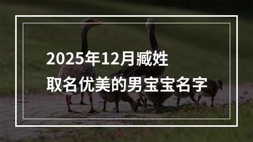 2025年12月臧姓取名优美的男宝宝名字
