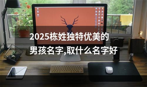 2025栋姓独特优美的男孩名字,取什么名字好