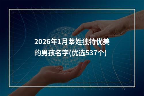 2026年1月莘姓独特优美的男孩名字(优选537个)