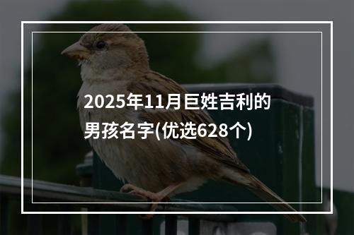 2025年11月巨姓吉利的男孩名字(优选628个)