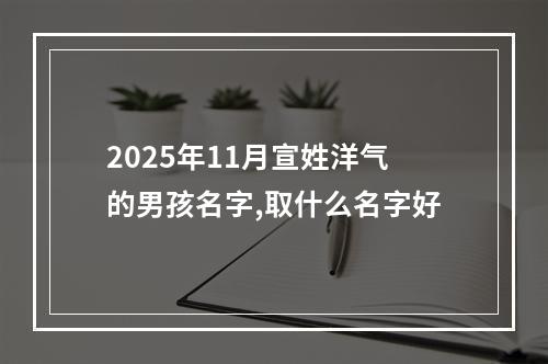 2025年11月宣姓洋气的男孩名字,取什么名字好