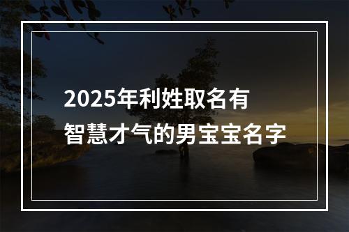 2025年利姓取名有智慧才气的男宝宝名字
